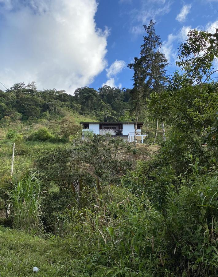 Arte De Plumas Birding Lodge Cartago Dış mekan fotoğraf