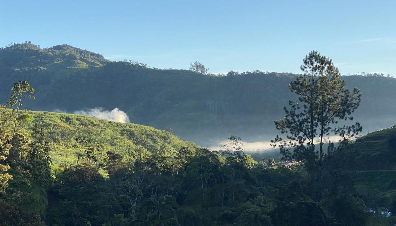 Arte De Plumas Birding Lodge Cartago Dış mekan fotoğraf