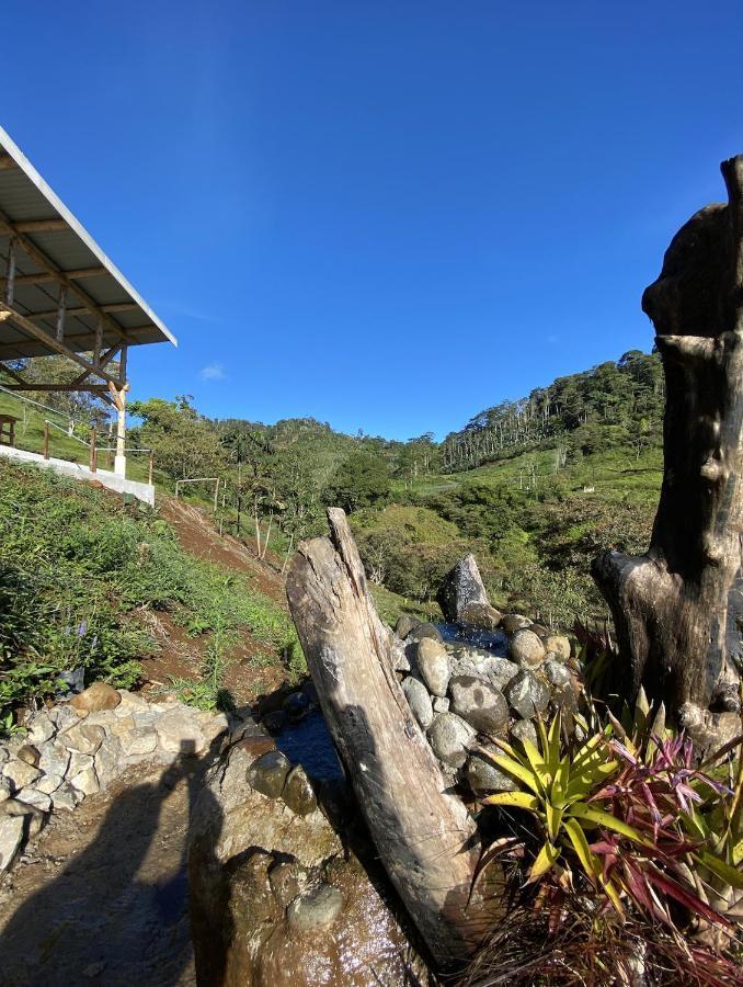 Arte De Plumas Birding Lodge Cartago Dış mekan fotoğraf
