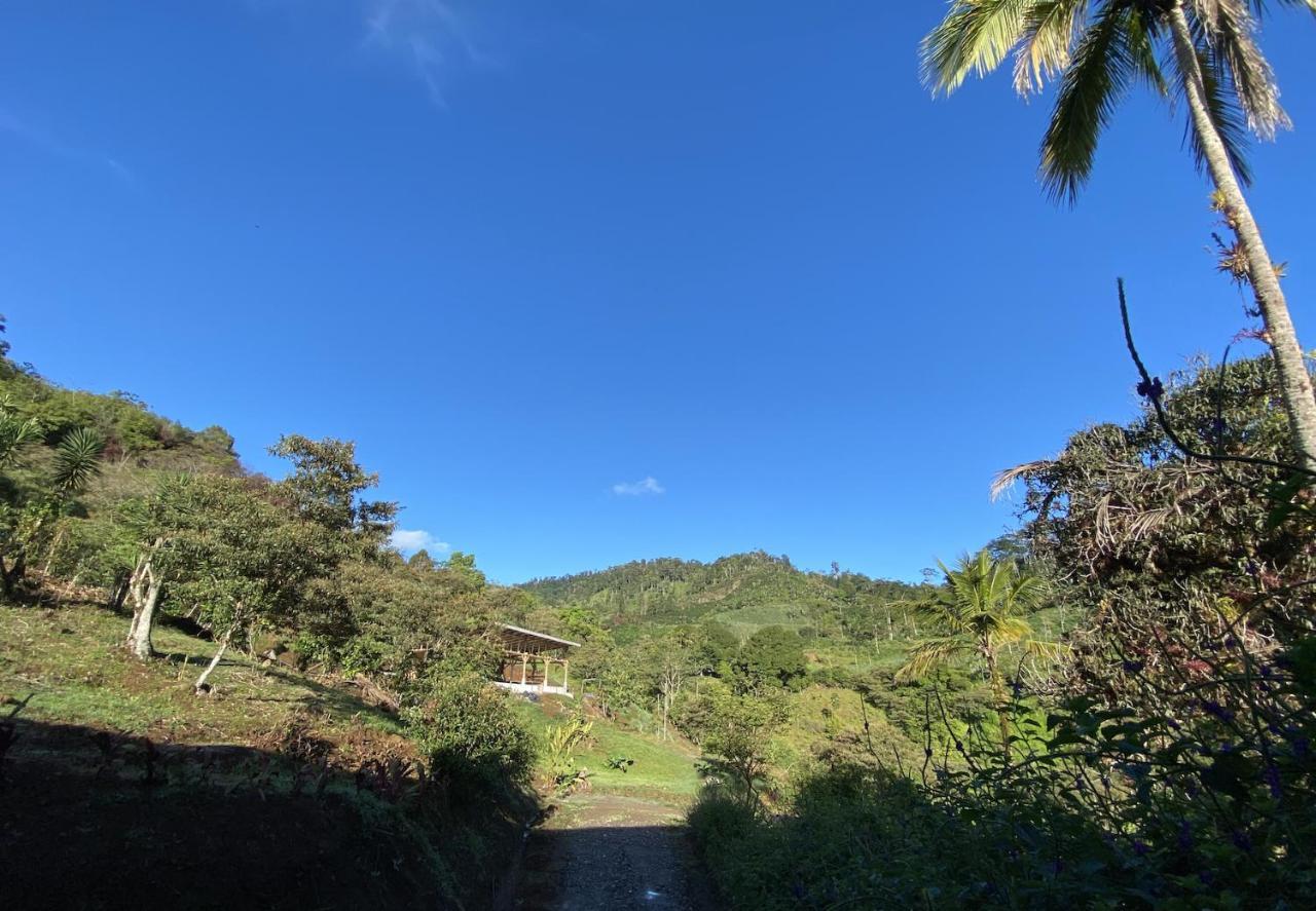 Arte De Plumas Birding Lodge Cartago Dış mekan fotoğraf