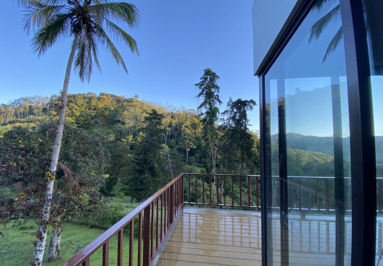 Arte De Plumas Birding Lodge Cartago Dış mekan fotoğraf