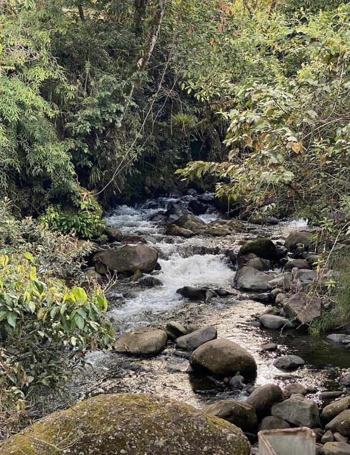 Arte De Plumas Birding Lodge Cartago Dış mekan fotoğraf