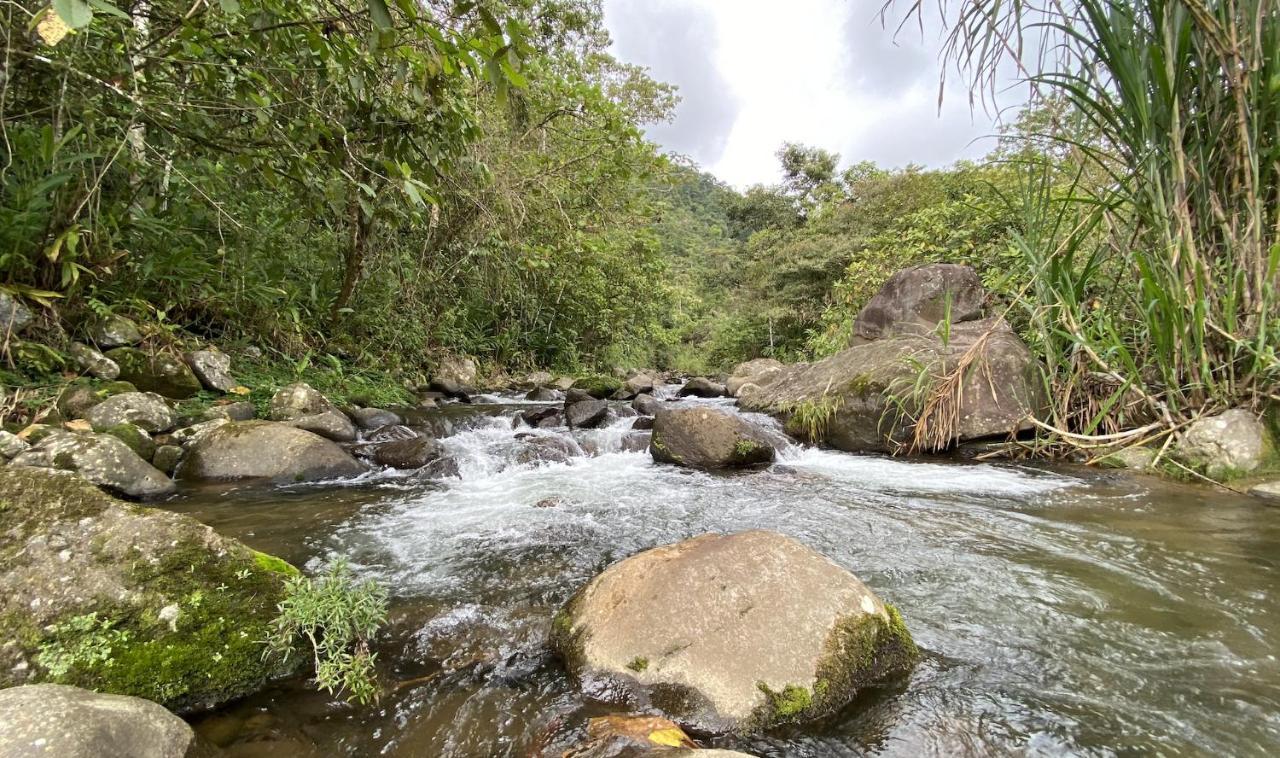 Arte De Plumas Birding Lodge Cartago Dış mekan fotoğraf
